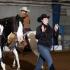 Tennessee Paint Horse Show